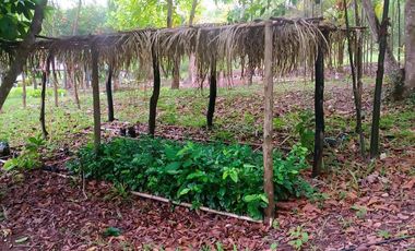 ¿No te parece que es el lugar perfecto para vivir o vacacionar sin estrés? Es una inversión en tu tranquilidad y salud.