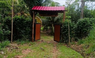 ¿No te parece que es el lugar perfecto para vivir o vacacionar sin estrés? Es una inversión en tu tranquilidad y salud.