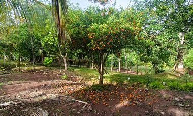 ¿No te parece que es el lugar perfecto para vivir o vacacionar sin estrés? Es una inversión en tu tranquilidad y salud.