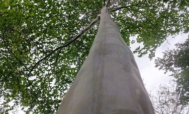 ¿No te parece que es el lugar perfecto para vivir o vacacionar sin estrés? Es una inversión en tu tranquilidad y salud.