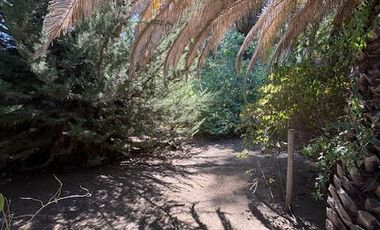 QUILPUÉ- LAS TERRAZAS DE LA RETUCA