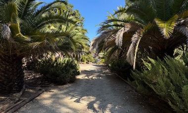 QUILPUÉ- LAS TERRAZAS DE LA RETUCA