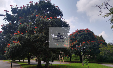 Casa en Venta en Cuernavaca Paseos del Rio Ds333