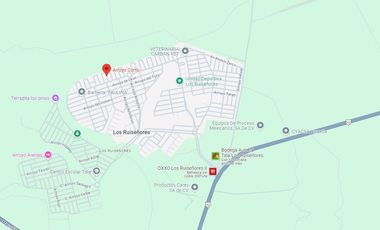 OA NO CREDITOS, CASA EN VENTA FRACC LOS RUISEÑORES, TALA, JALISCO