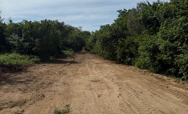 LOTES EN FRACCIONAMIENTO LAGUNA DEL PALMAR TONAMECA, OAXACA