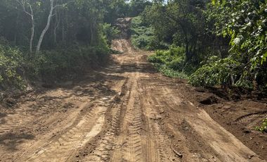 LOTES EN FRACCIONAMIENTO LAGUNA DEL PALMAR TONAMECA, OAXACA