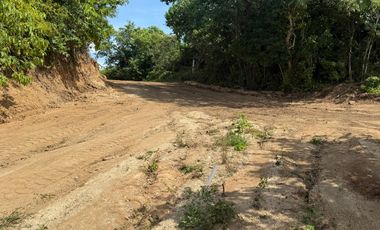 LOTES EN FRACCIONAMIENTO LAGUNA DEL PALMAR TONAMECA, OAXACA