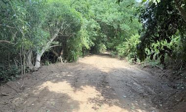 LOTES EN FRACCIONAMIENTO LAGUNA DEL PALMAR TONAMECA, OAXACA