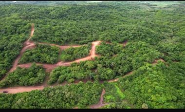 LOTES EN FRACCIONAMIENTO LAGUNA DEL PALMAR TONAMECA, OAXACA