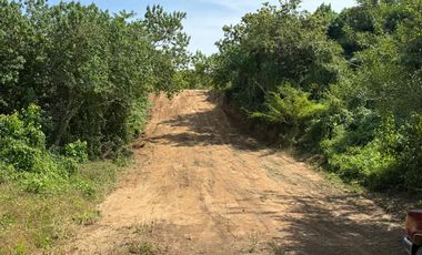 LOTES EN FRACCIONAMIENTO LAGUNA DEL PALMAR TONAMECA, OAXACA