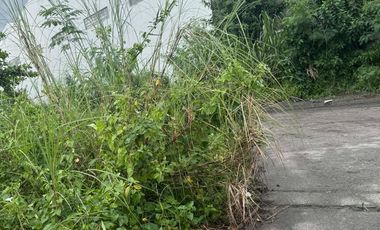 Residential corner lot for sale in St. Dominique Corinthians, San fernando Pampanga