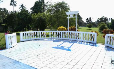 QUINTA LA ANTIGUA CERCA DEL RÍO, CASA PARA INVERSIÓN, SE PUEDE FRACCIONAR O HACER HOTEL, 12,164 M2 PRECIO: $19,000,000 (NEGOCIABLES)
