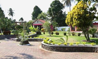 QUINTA LA ANTIGUA CERCA DEL RÍO, CASA PARA INVERSIÓN, SE PUEDE FRACCIONAR O HACER HOTEL, 12,164 M2 PRECIO: $19,000,000 (NEGOCIABLES)