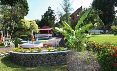 QUINTA LA ANTIGUA CERCA DEL RÍO, CASA PARA INVERSIÓN, SE PUEDE FRACCIONAR O HACER HOTEL, 12,164 M2 PRECIO: $19,000,000 (NEGOCIABLES)