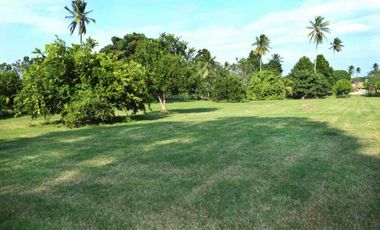 QUINTA LA ANTIGUA CERCA DEL RÍO, CASA PARA INVERSIÓN, SE PUEDE FRACCIONAR O HACER HOTEL, 12,164 M2 PRECIO: $19,000,000 (NEGOCIABLES)