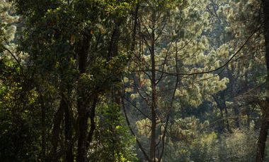 Casas y Terrenos en Preventa en Valle de Bravo C1