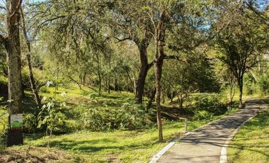 Terreno en VENTA con vista panorámica en Álamo Sur