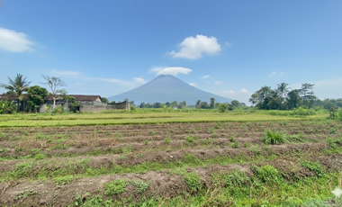 Sisa 4 Kavling Tanah SHM Pandowoharjo 5 Menit Sleman City Hall, Bisa Cash Tempo & Cicilan 0%