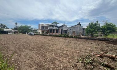 Sisa 4 Kavling Tanah SHM Pandowoharjo 5 Menit Sleman City Hall, Bisa Cash Tempo & Cicilan 0%