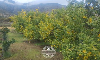 VENDE GRAN PARCELA PLANA EN LOS BOSQUES DE MIRAFLORES-CURACAVÍ