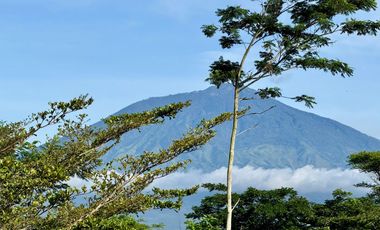 RUMAH ARAYA MALANG KAMPUS BINUS DI JUAL CEPAT BUTUH UANG BU