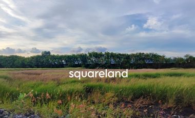 DIJUAL CEPAT TANAH KAVLING INDUSTRI SELUAS 1 HEKTAR DI JALAN RAYA BOJONEGARA, SERANG, DEKAT EXIT TOL CILEGON TIMUR