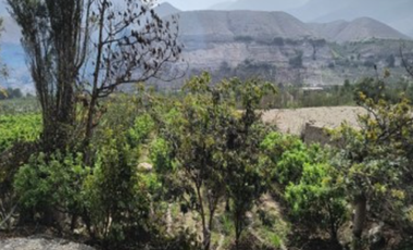Terreno venta en Mala, Cañete