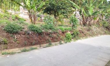 60 Tumbak Tanah Kebun Jalan Tifar Barat, Laksanamekar, Padalarang, Bandung Barat