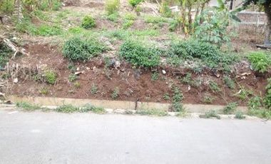 60 Tumbak Tanah Kebun Jalan Tifar Barat, Laksanamekar, Padalarang, Bandung Barat