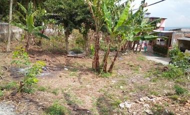 60 Tumbak Tanah Kebun Jalan Tifar Barat, Laksanamekar, Padalarang, Bandung Barat