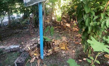 Single house, newly built, 112 sq w., Ban Mai Subdistrict, Soi 1, Mueang District, Chachoengsao Province