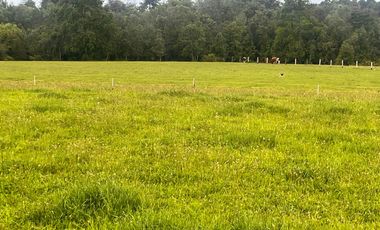 Terreno  Excepcional  Comuna Los Lagos, sector  San Pedro