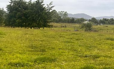 Terreno  Excepcional  Comuna Los Lagos, sector  San Pedro