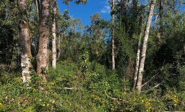 Terreno  Excepcional  Comuna Los Lagos, sector  San Pedro