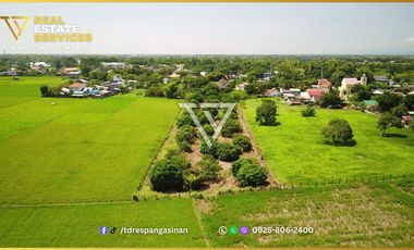 Fully Furnished House and Lot with Mango Farm for Sale in Sta. Barbara, Pangasinan