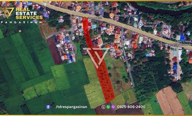 Fully Furnished House and Lot with Mango Farm for Sale in Sta. Barbara, Pangasinan