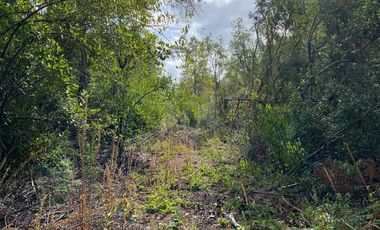 Parcela orilla de camino sector Huincacara Villarrica