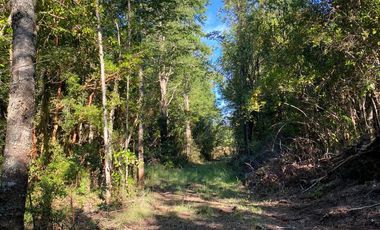 Parcela orilla de camino sector Huincacara Villarrica