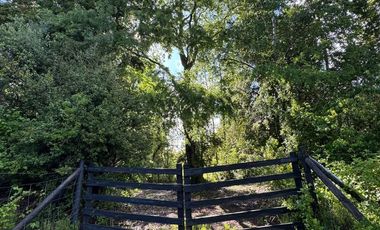 Parcela orilla de camino sector Huincacara Villarrica