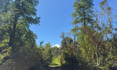 Parcela orilla de camino sector Huincacara Villarrica