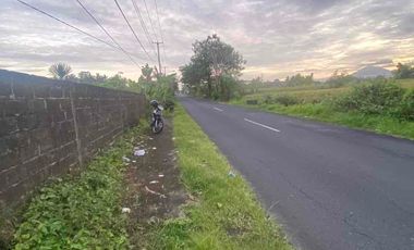 jual tanah baha mengwi badung bali