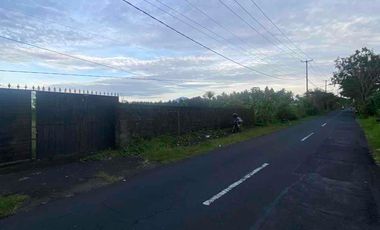 jual tanah baha mengwi badung bali