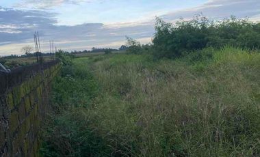 jual tanah baha mengwi badung bali