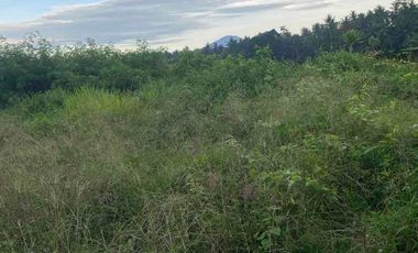 jual tanah baha mengwi badung bali