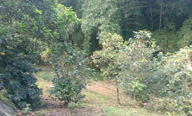 VENDO ESPECTACULAR FINCA ECO HOTEL.