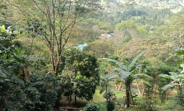 VENDO ESPECTACULAR FINCA ECO HOTEL.