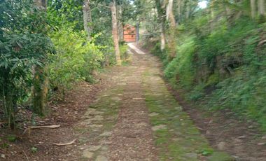 VENDO ESPECTACULAR FINCA ECO HOTEL.