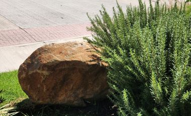 TERRENOS AL SUR DE LA CIUDAD ZONA BOSQUES DE SANTA ANITA