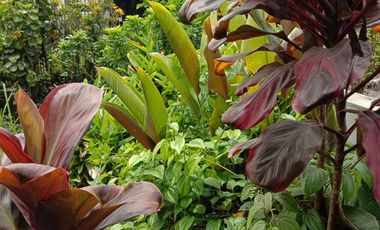 550 M2 tanah Komersil Mainroad Batujajar Untuk Kantor & Gudang, Bandung Barat.