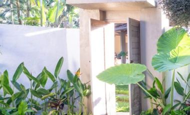 Villa Ubud bali, murah, harga di bawah pasar
